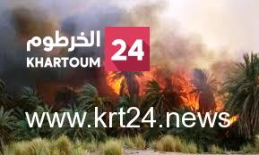 حريق يلتهم ألفي نخلة بالولاية الشمالية – الخرطوم24