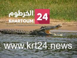 ظهور تماسيح مع ارتفاع مناسيب النيل – الخرطوم24