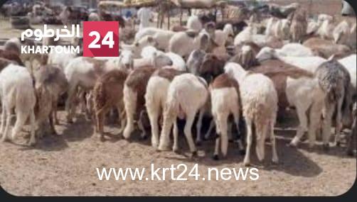 وفد تركي يزور السودان خلال أيام لإنشاء مسلخ حديث – الخرطوم24