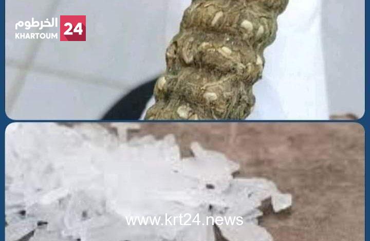ضبط متهم بحوزته مخدرات داخل مطار الخرطوم – الخرطوم24
