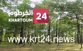 خطة لزراعة أكثر من مليون فدان من الأشجار – الخرطوم24