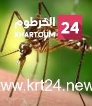 الأبيض تسجل حالتي وفاة بحمى الضنك.. و”239″ آصابة مؤكدة بشمال دارفور