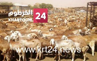 “4” ولايات تتلقى تنويرا ببرتكول إيقاد حول حرية تنقل الماشية