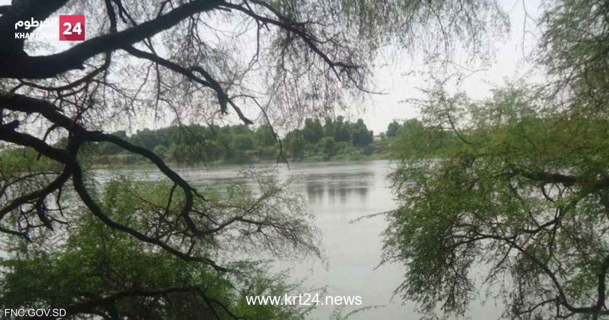 700 قرية تحمل اسمها.. سر ارتباط السودانيين بـ "الشجرة"