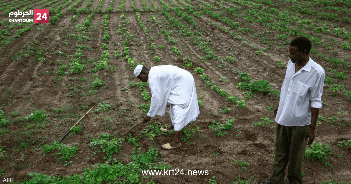 السودان.. خطر الانهيار يحاصر أكبر مشروع "انسيابي" في العالم