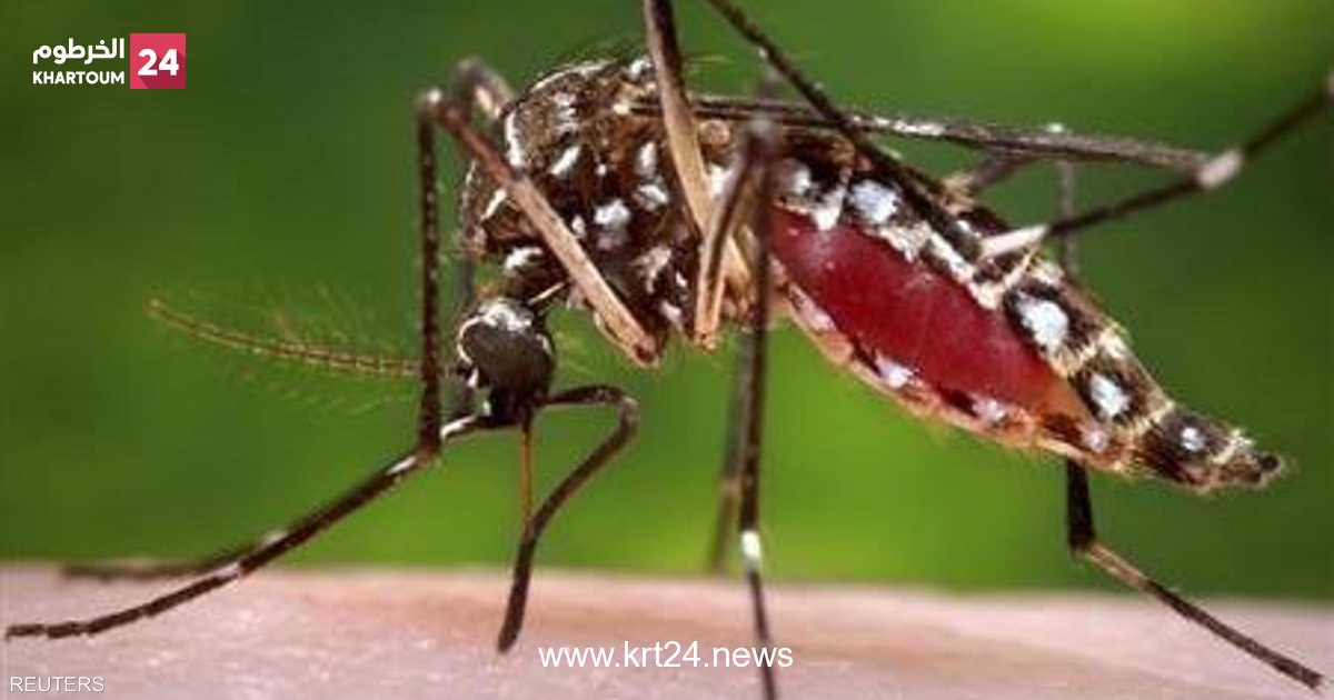 السودان.. حمى الضنك تدخل الخرطوم لأول مرة بـ 60 حالة