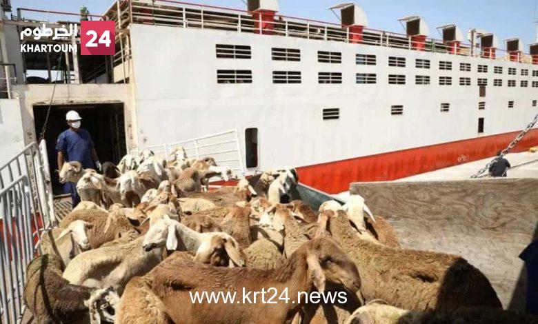 “الثروة الحيوانية” تتهم نافذين ودولة مجاورة بالتآمر لإرجاع صادر الماشية