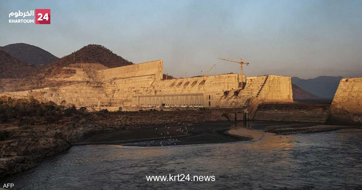وزير الخارجية المصري: مفاوضات سد النهضة لم تؤت ثمارها