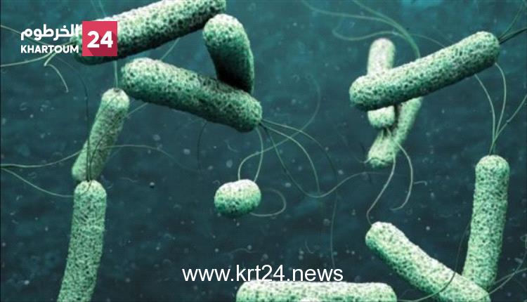 الأمم المتحدة تحذر من تفشي مخيف للكوليرا في “11” دولة حول العالم