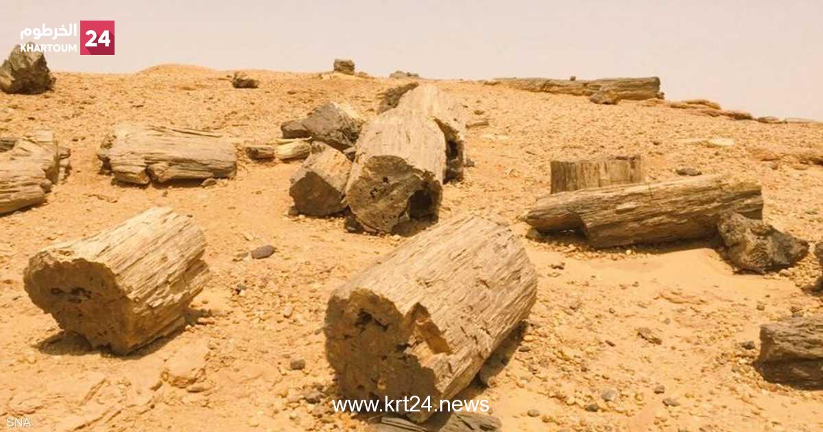 كنز "الغابة المتحجرة" يواجه خطرا كبيرا في السودان