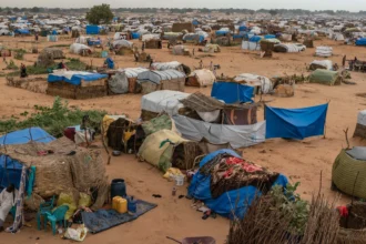 150 ألف شهيد و12 مليون نازح.. الإخوان المسلمون وهندسة الخراب في السودان