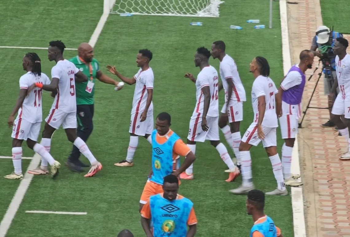 «الفيفا» يوقف نائب رئيس الاتحاد السوداني «15» مباراة