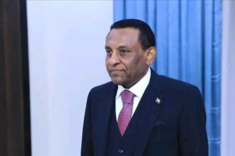 إجراءات لتنظيم الاستيراد ودعم الإنتاج المحلي